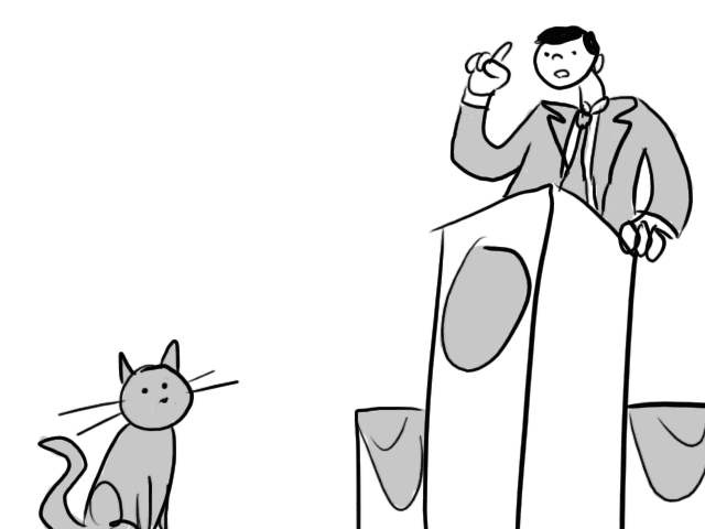 you address a cat